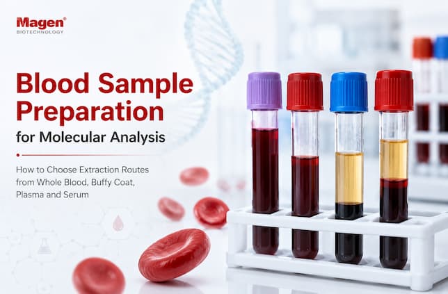 Mapa de rutas de preparación de muestras de sangre para extracción de ácidos nucleicos de sangre total, capa leucocitaria, plasma y suero en análisis molecular